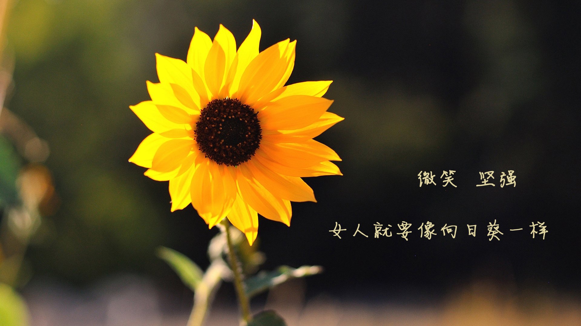 巅峰对决：最佳对抗和经典战役再创新高，的巅峰对决