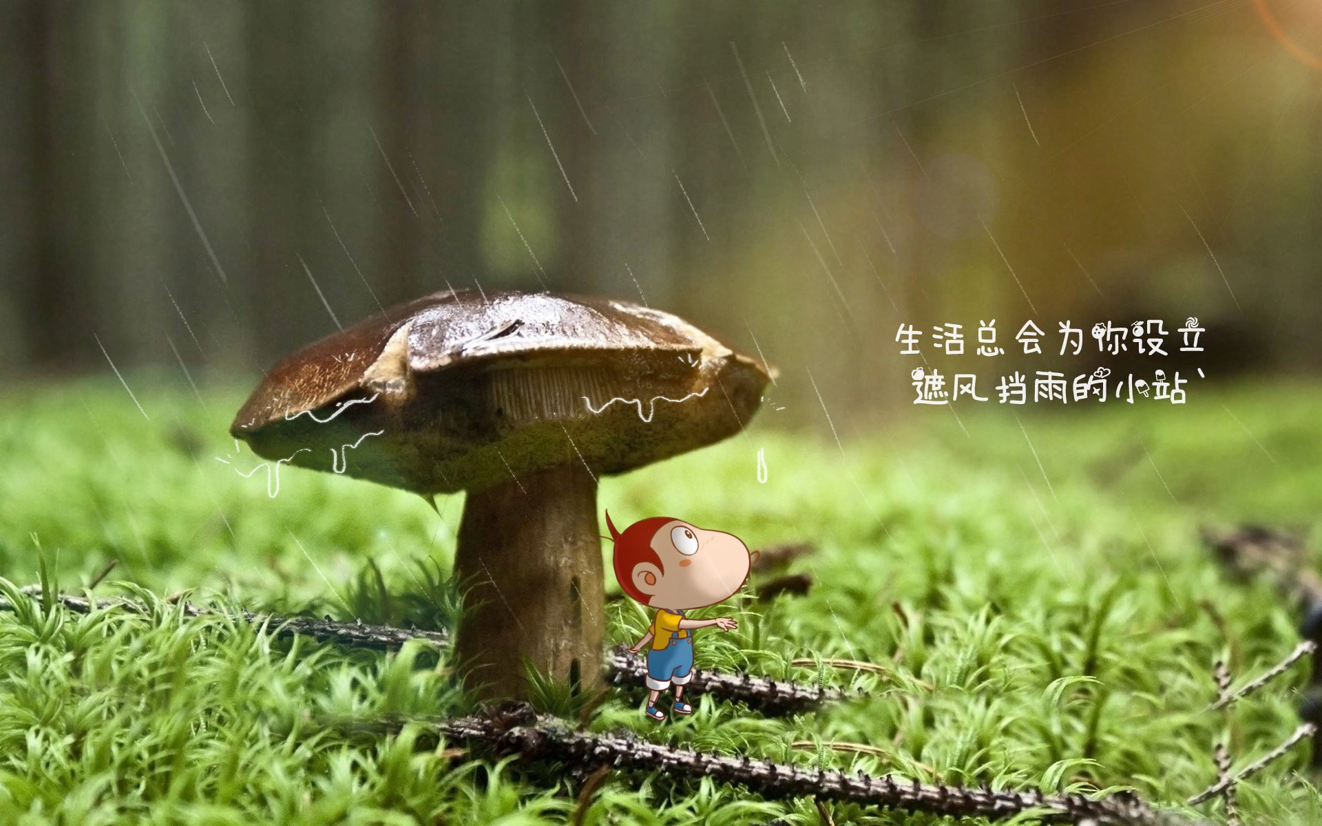 车手生活揭秘：比赛之外的训练和休闲，车手综艺
