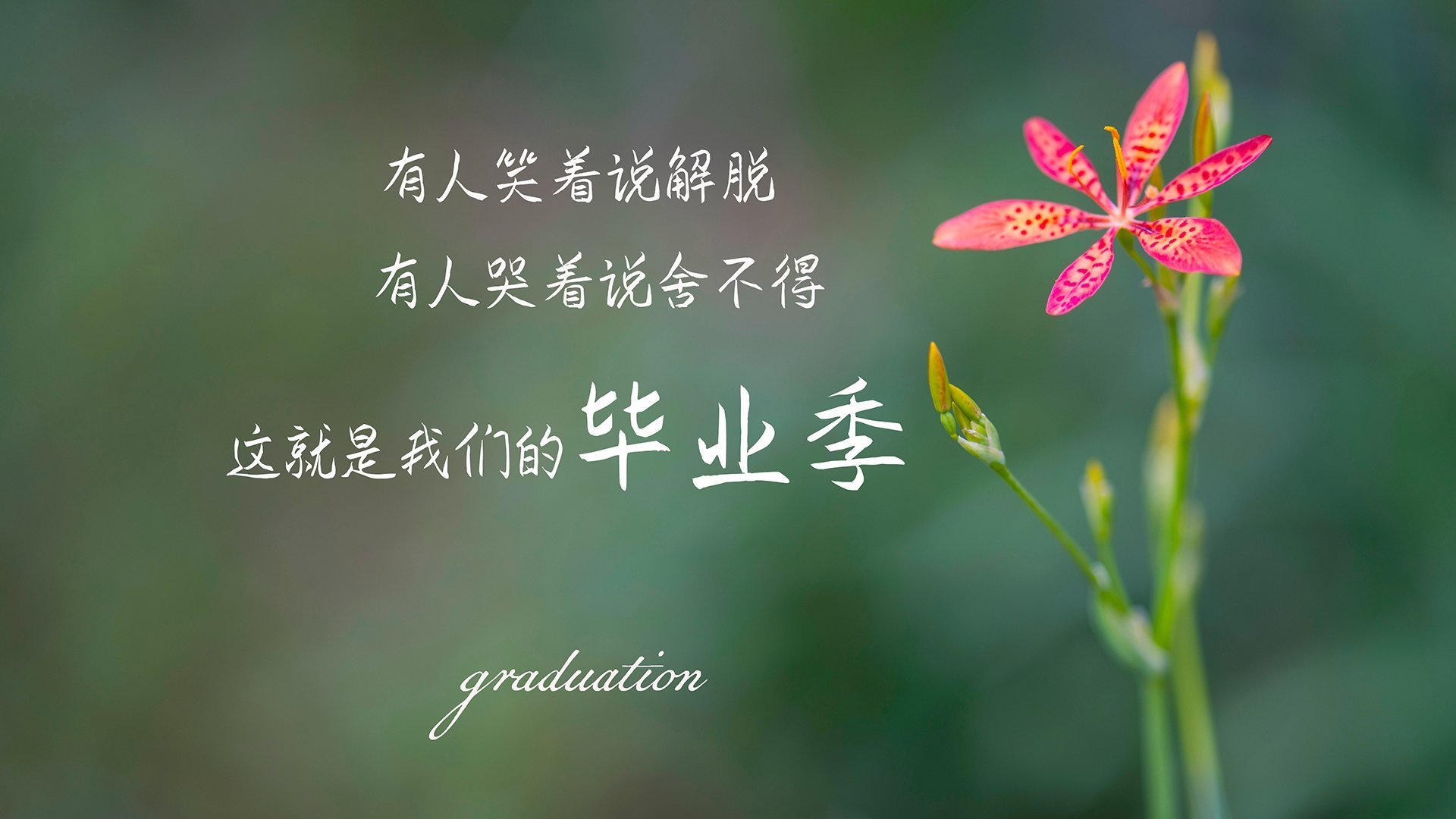 地方足球赛事运营是否专业，足球运营模式是什么