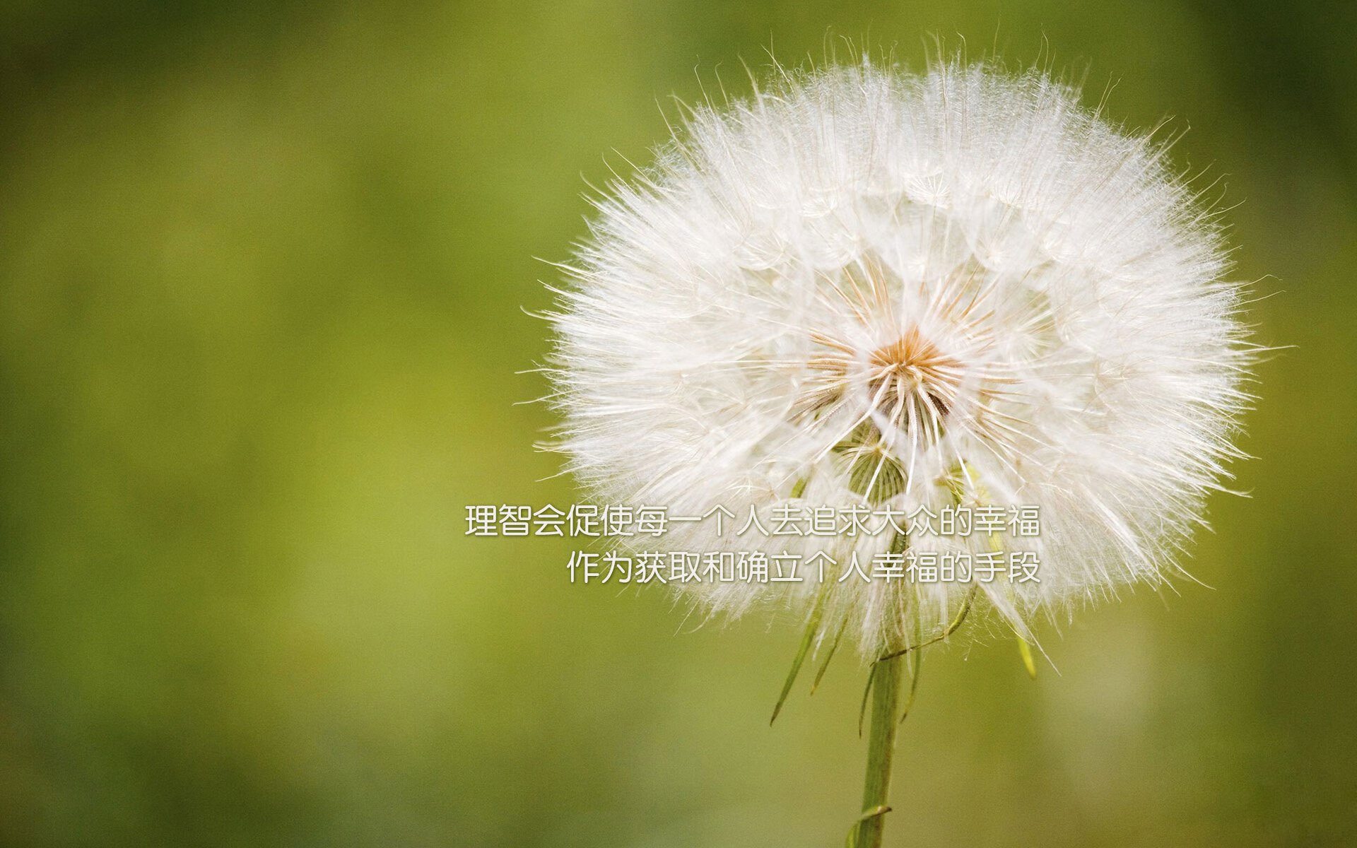 谢菲联防线漏洞频出，刀锋战士欲保级成功，谢菲联vs埃弗顿
