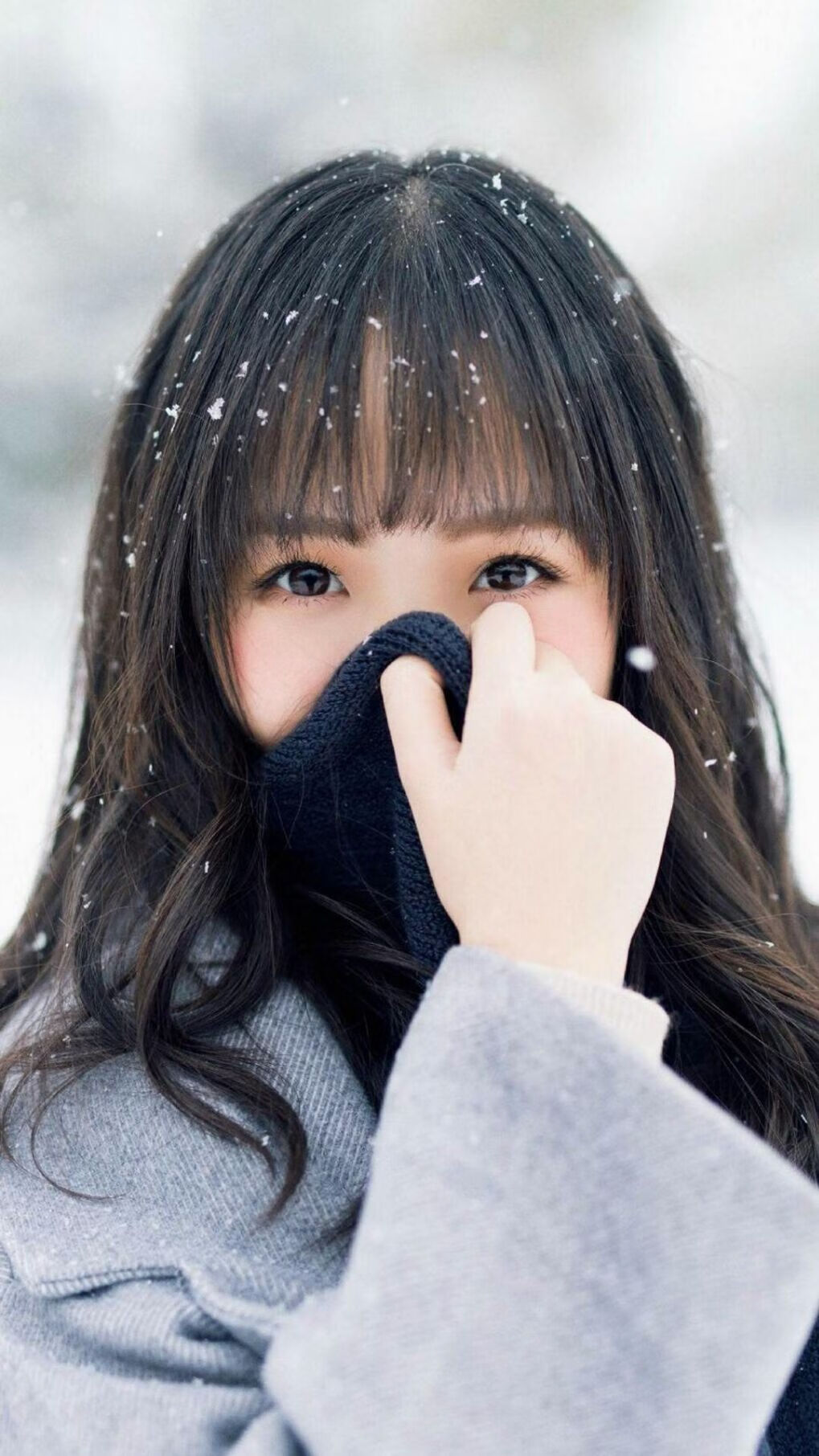 里昂主场击败对手，里昂新主场