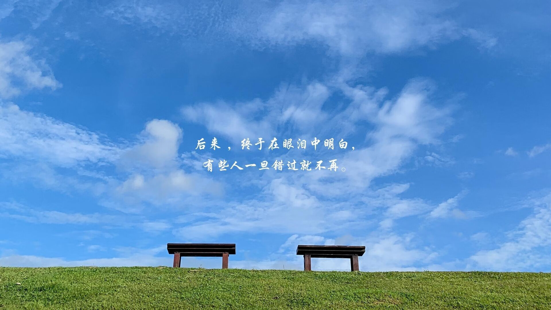 “2025新加坡世界游泳锦标赛：水上芭蕾给你带来惊艳演出”