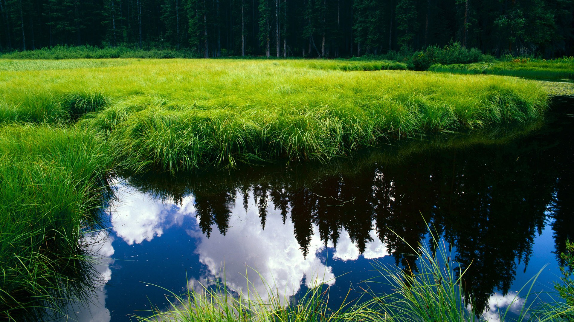 开云·Kaiyun网页版-阿伦·斯密斯：全黑队进攻背后的“无形力量”，轻松打破对手防线