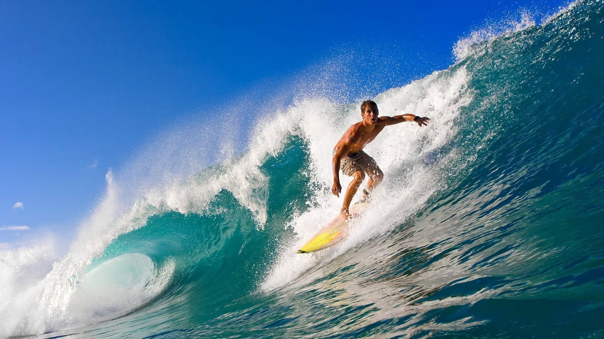 开云体育全站-美国反曲弓男队在世界射箭锦标赛中获得金牌，反曲弓世界纪录